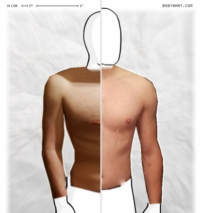 Torso Comparison