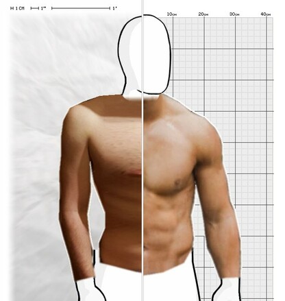 Torso Comparison