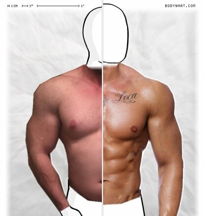 Torso Comparison