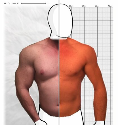 Torso Comparison