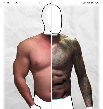 Torso Comparison