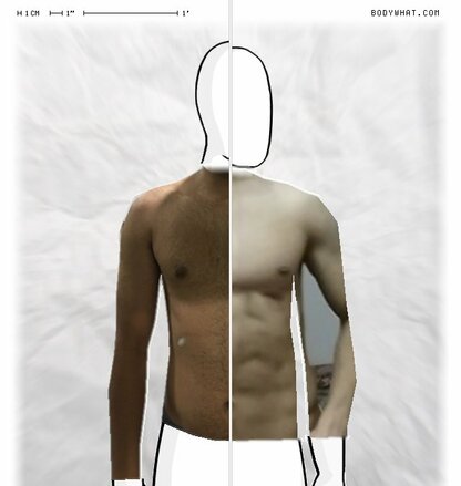 Torso Comparison