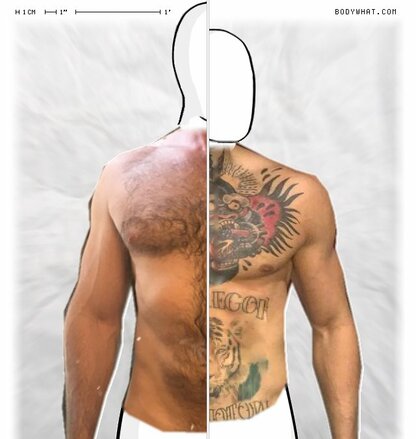 Torso Comparison