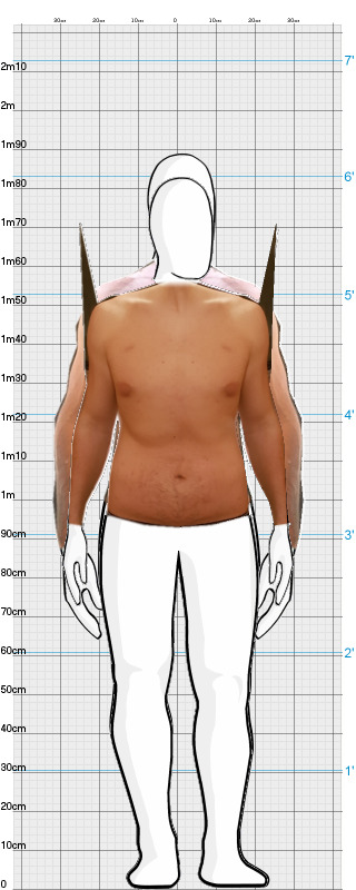 Full Size Comparison