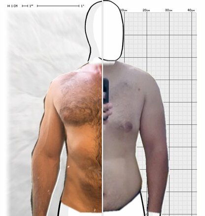 Torso Comparison