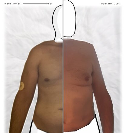 Torso Comparison