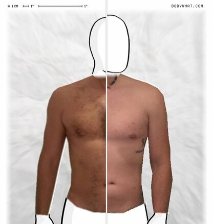 Torso Comparison