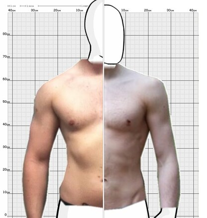 Torso Comparison