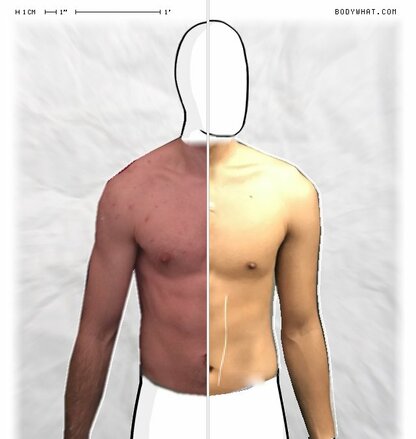 Torso Comparison