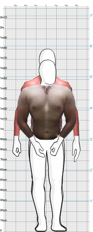 Full Size Comparison