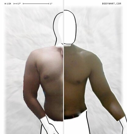Torso Comparison