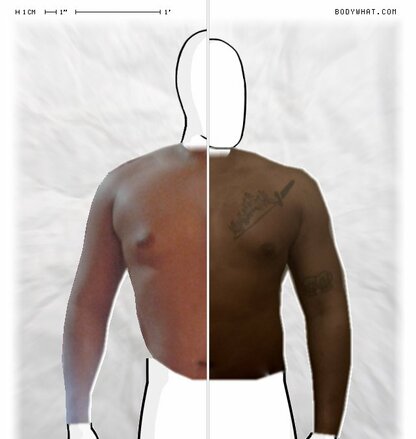 Torso Comparison