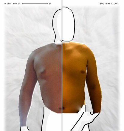 Torso Comparison