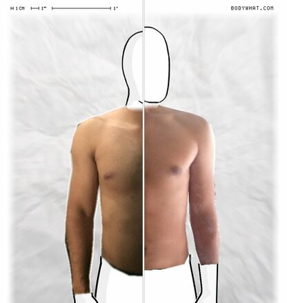 Torso Comparison