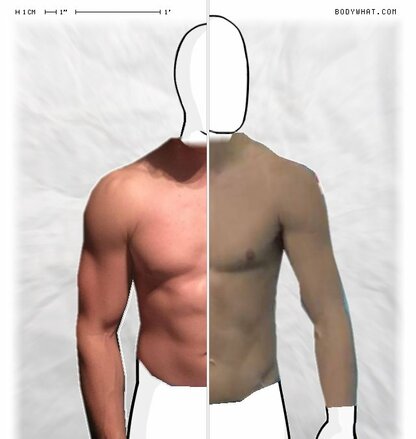 Torso Comparison