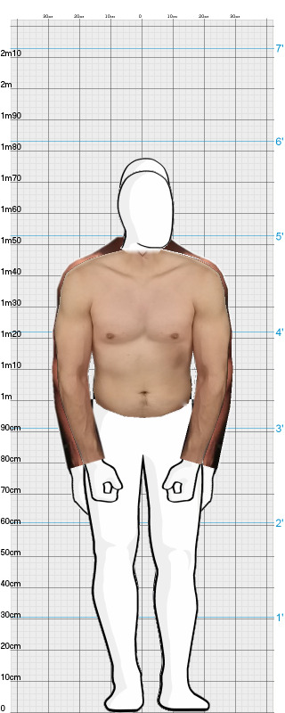 Full Size Comparison