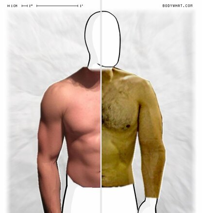 Torso Comparison