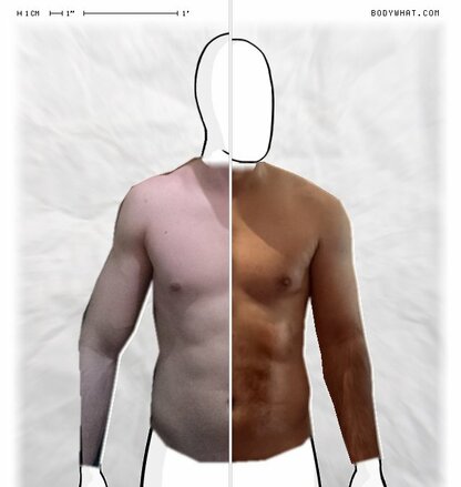 Torso Comparison