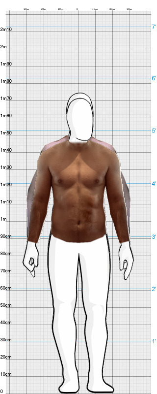 Full Size Comparison