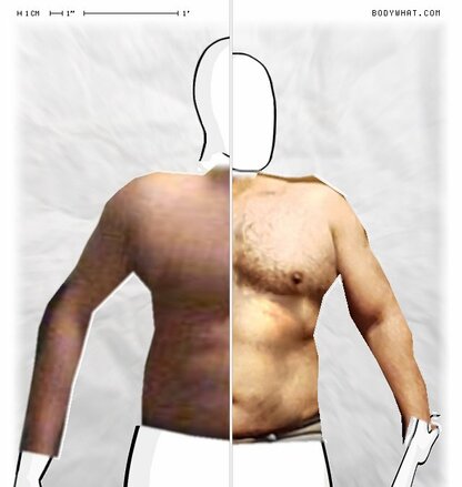 Torso Comparison