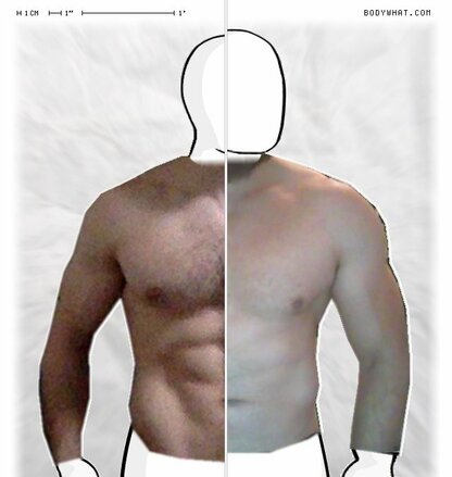 Torso Comparison