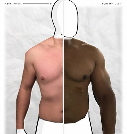 Torso Comparison