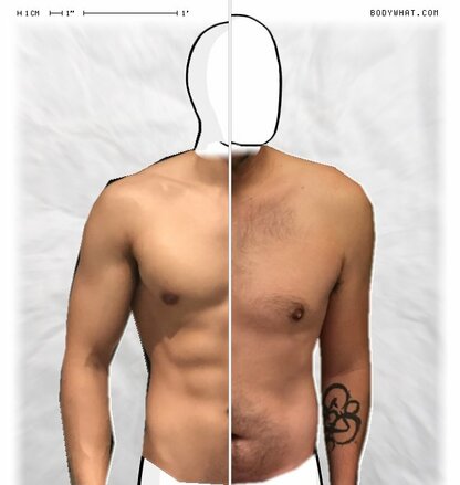 Torso Comparison