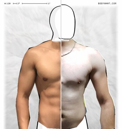 Torso Comparison