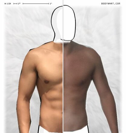 Torso Comparison