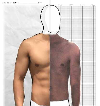 Torso Comparison