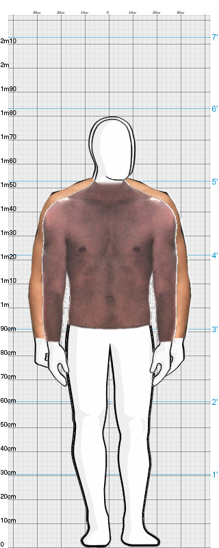 Full Size Comparison