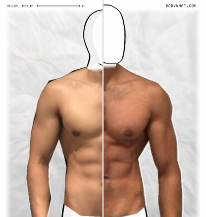 Torso Comparison