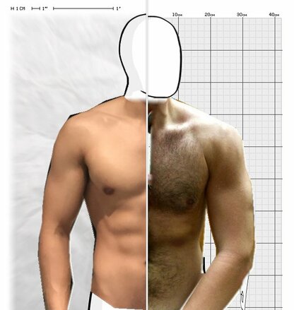 Torso Comparison