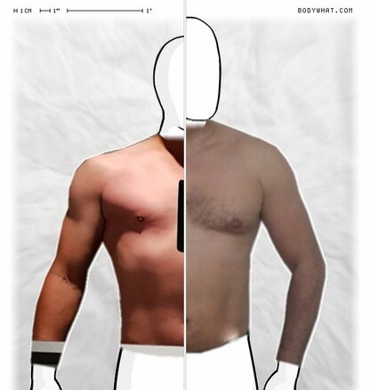 Torso Comparison