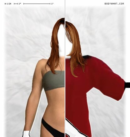 Torso Comparison