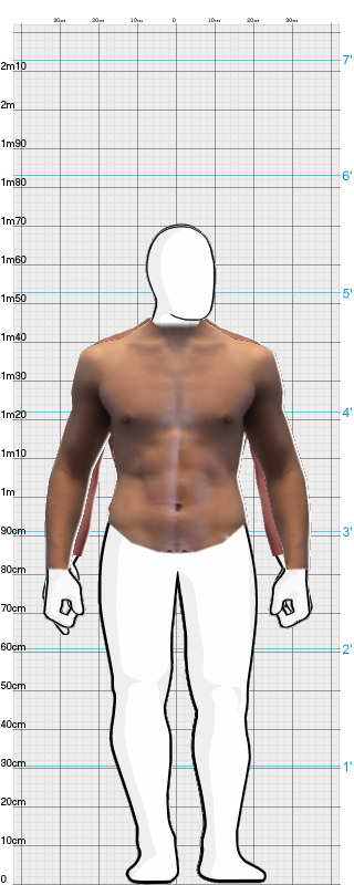 Full Size Comparison