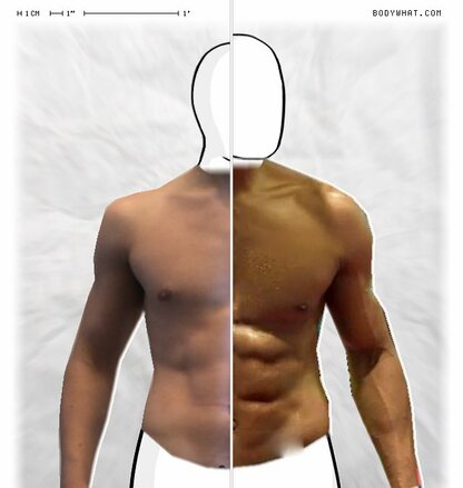 Torso Comparison