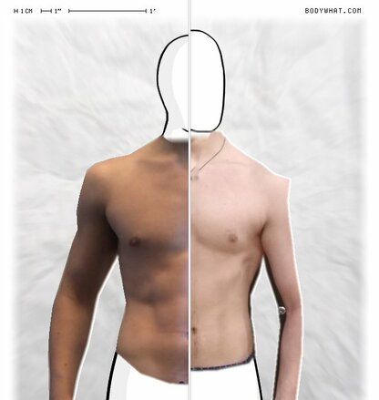 Torso Comparison