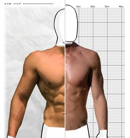 Torso Comparison