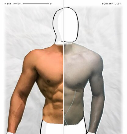 Torso Comparison