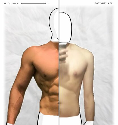 Torso Comparison