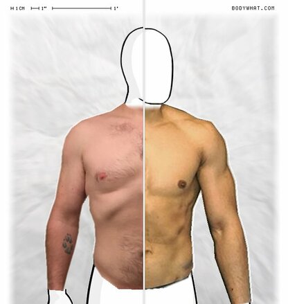 Torso Comparison