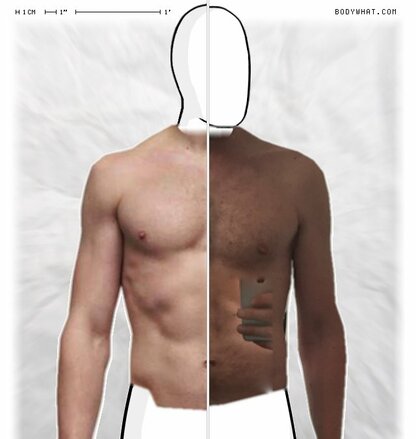 Torso Comparison