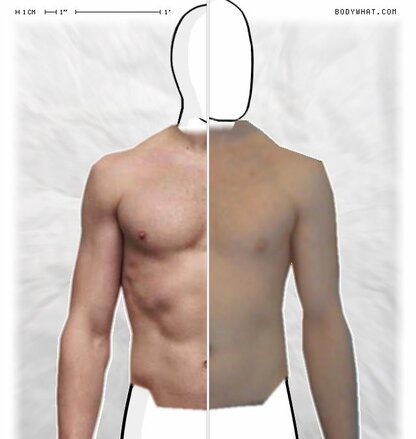 Torso Comparison