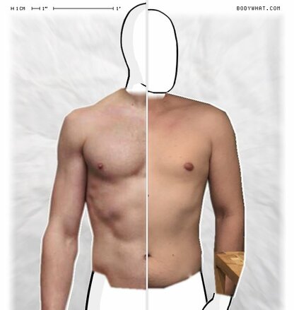 Torso Comparison