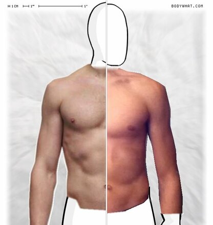 Torso Comparison