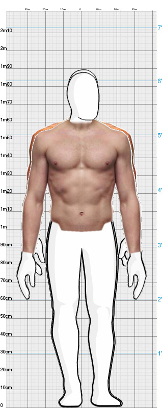 Full Size Comparison