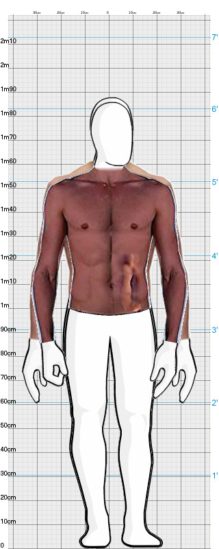 Full Size Comparison