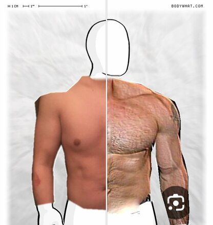 Torso Comparison