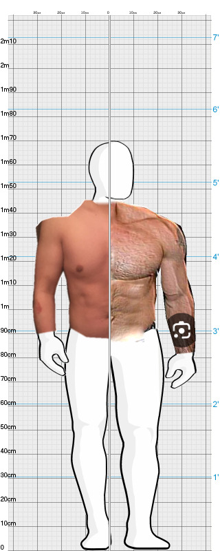 Full Size Comparison